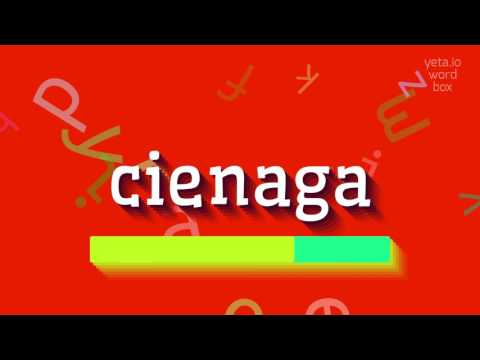 CIENAGA - HOW TO PRONOUNCE IT? #cienaga