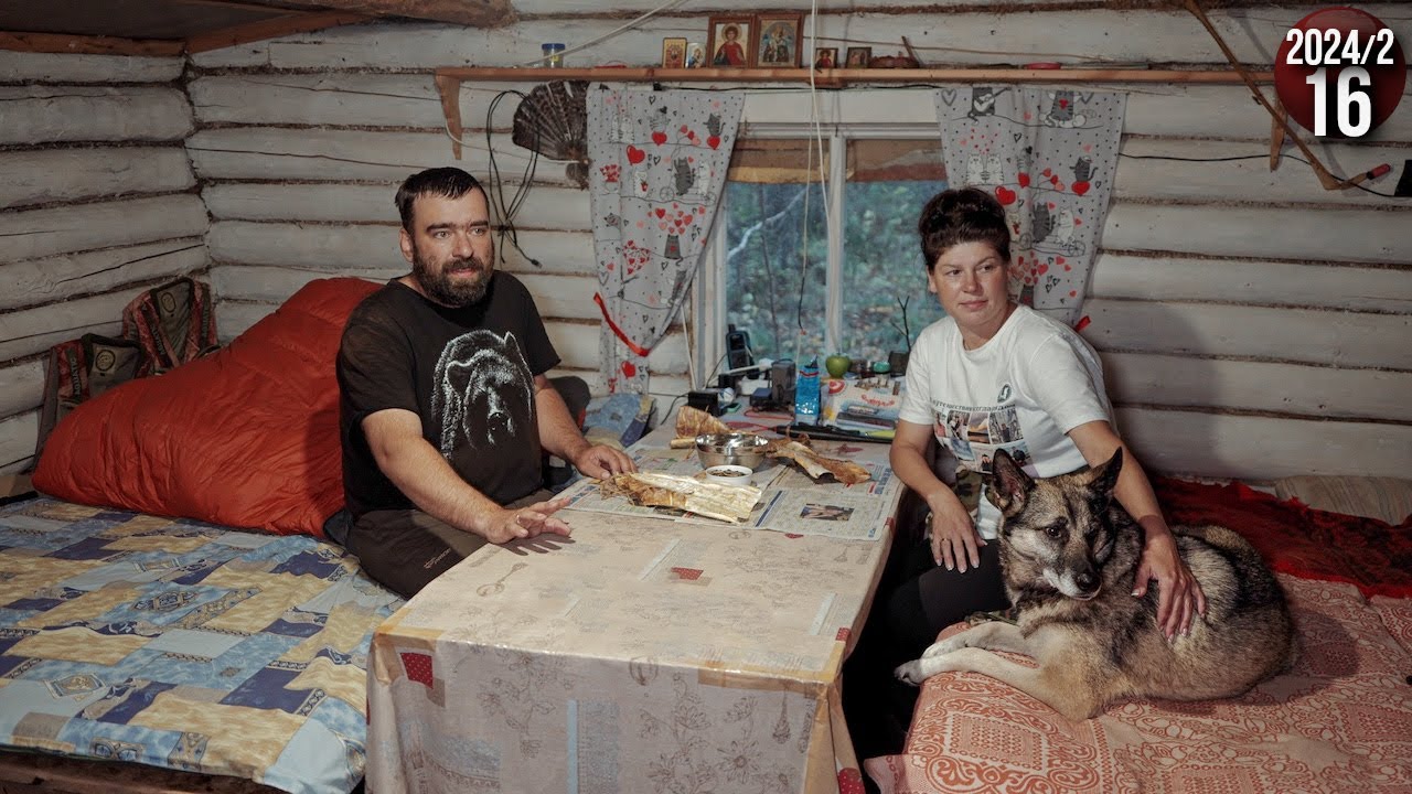 Как живут люди в тайге. Изба за 1000 км от цивилизации. Заготовка кедрового оре?