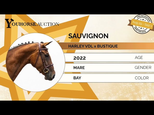 Sauvignon impressionvideo