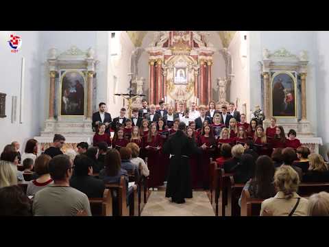 Mješoviti zbor mladih Gospe od Zdravlja  - Split: J. S. Bach - Hvali Gospodina