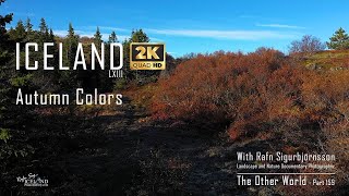 Iceland LXIII - Autumn Colors │ Part 159