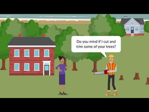 Glavin v. Eckman Case Brief Summary | Law Case Explained