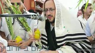 ליפא שמלצר - ״תפילת הלל״ | lipa schmeltzer -  Hallel