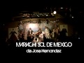 SON DE LA NEGRA - MARIACHI SOL DE MEXICO