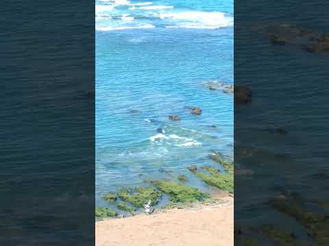 Punta Delgada - Argentina