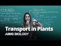 Plant Water Relationship Biology 11th For AIIMS 2020 In English Misostudy