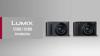 파나소닉 루믹스 DC-TZ300 (정품)_동영상_이미지
