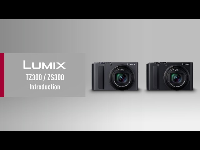 Vidéo PANASONIC LUMIX DC-TZ300 Dark Silver + 2e batterie