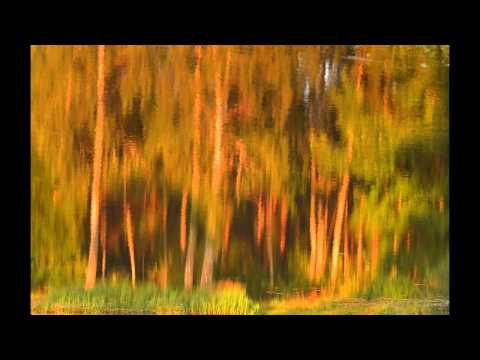 Heliotroop "Mooniväljadel"