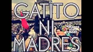 Vale VERGARA el Guadalajara-Molotov