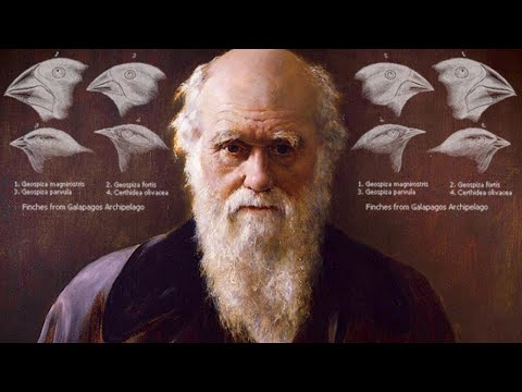 CHARLES DARWIN - raccontato da Piergiorgio Odifreddi [2008]