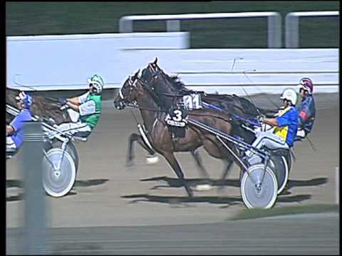 Trotto 04/09/2016 - 6° corsa