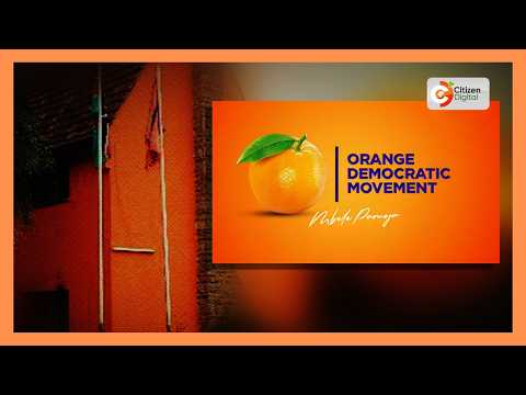 ODM waonya wapinzani dhidi ya siasa za ukabila