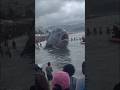 30ft Piranha Captured On Sonar Terrorizing Beach Goers In Brazil