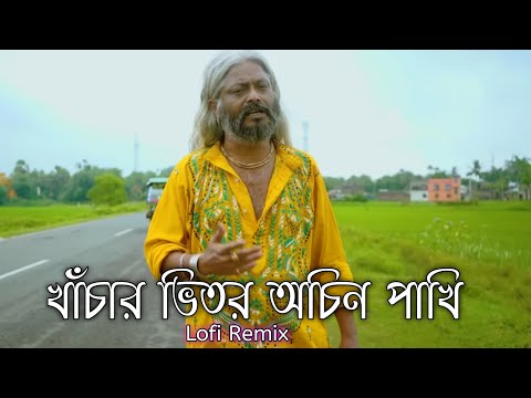 Khachar Bhitor Ochin Pakhi Lofi |  The Bolpur Blues