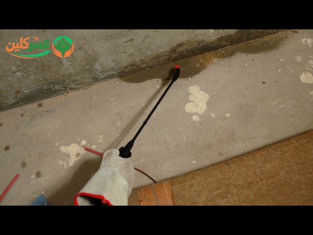شركة مكافحة حشرات بالرياض