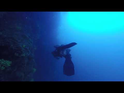 Kornati Diving w Anna Nokela