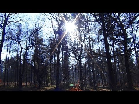 Am Dornberger Bunker ~ Lost Places 70 ~ 02/2014
