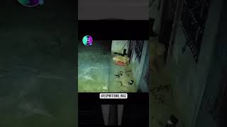 perro se comporta extraño #paranormal #real #terror #videoviral #bruja #animal #miedo #viral