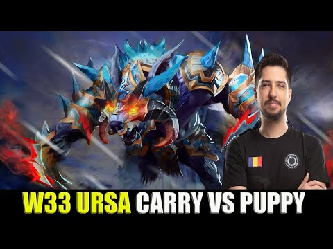 w33 ursa vs puppy