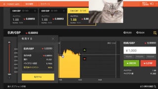 【FX】1万円から始める為替取引【BO】