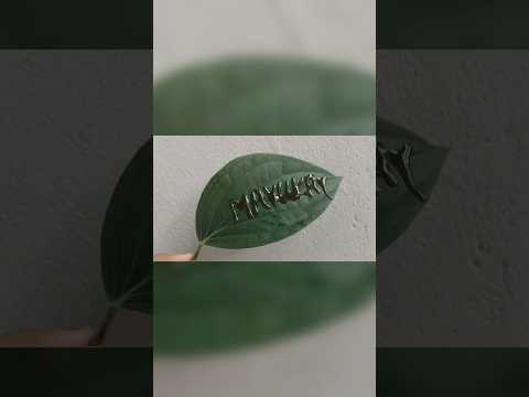 Mayukha ❤️❤️❤️