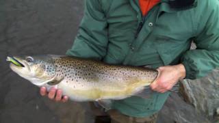 preview picture of video 'Trophy Trout Fishing in Dexter New York'