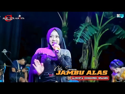 JAMBU ALAS - NITA SAVANA - ALROSTA DONGKREK // SETIA MULTIMEDIA - ALDES AUDIO // ALROSTA FANS