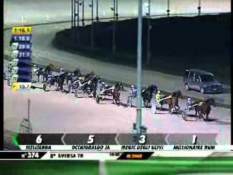 24/01/2013, Aversa , Premio Isola Di Ferro C.naz.