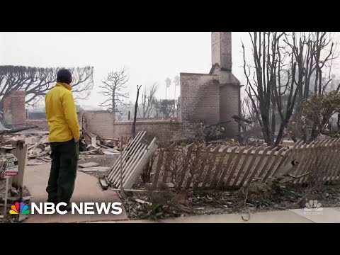 Residents of the Pacific Palisades return after the wildfires: Fire & Ash - Part 2