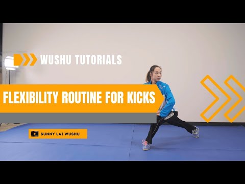 Wushu Tutorial: Flexibility Routine to Improve Your Kicks