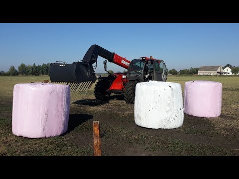 Wygląd oraz pomiar wilgotności balotów sianokiszonki robionych metodą ,,bez grabienia ''.