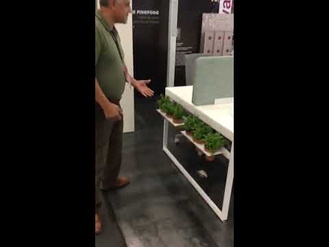 Miniatura del video
