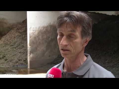 9. Juni 2017: Telebärn berichtet über die neue Vergärungsanlage KEWU AG