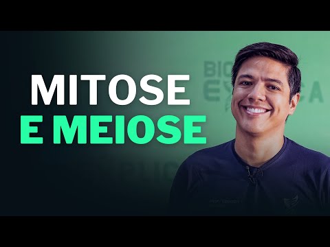 MITOSE E MEIOSE | Divisão Celular | Diferenças