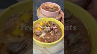 We've honestly been loving the Wonderfur prebiotics and probiotics! #cat #asmrcat #feedmycats