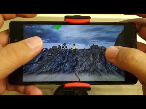 Iguana Baby Escape Video