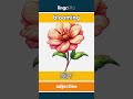 blooming - 盛开 video thumbnail