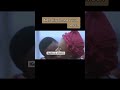 #shorts  RAHAMA SADAU SUNA KISSING DIN JUNA A NIGERIAN FILM