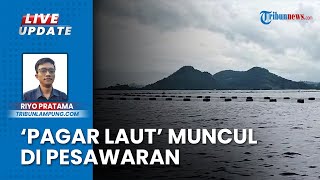 Ada Pagar Laut Misterius di Perairan Pantai Mutun, DPRD Lampung Tuntut Bongkar Jika Tak Ada Izin