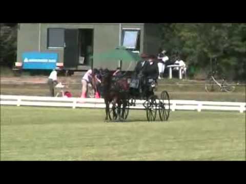 NM 2013 Dag 1 Dressur