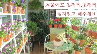 귀찮아도 자주 해주면 항상 깔끔한 정원을 유지 할 수 있어요~#입춘대길 #뷰가든 #베란다정원 #아파트