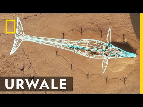 Das Rauschen des Meeres, inmitten der Wüste! | Faszination Ägypten