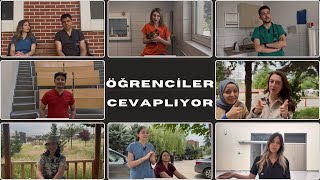 Veteriner fakültesini neden seçmelisiniz? Neden seçmemelisiniz? | Avan