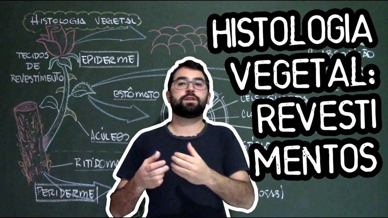 Histologia Vegetal: Tecidos de Revestimento - Aula 12 - Módulo V: Botânica (Prof. Guilherme)