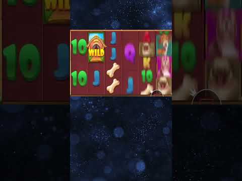Thumbnail for video: DOG HOUSE JACKPOT
