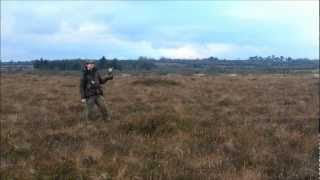preview picture of video 'Falconry, Snipe hawking in Ireland'