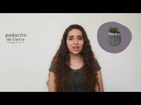 pedacito de tierra pitch