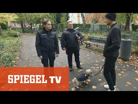 Hundekontrollen in Berlin: Ordnungsamt vs. Vierbeiner | SPIEGEL TV
