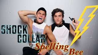 SHOCK COLLAR SPELLING BEE! // Dolan Twins